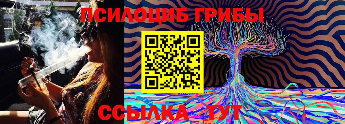 Псилоцибиновые грибы Psilocybe Моздок