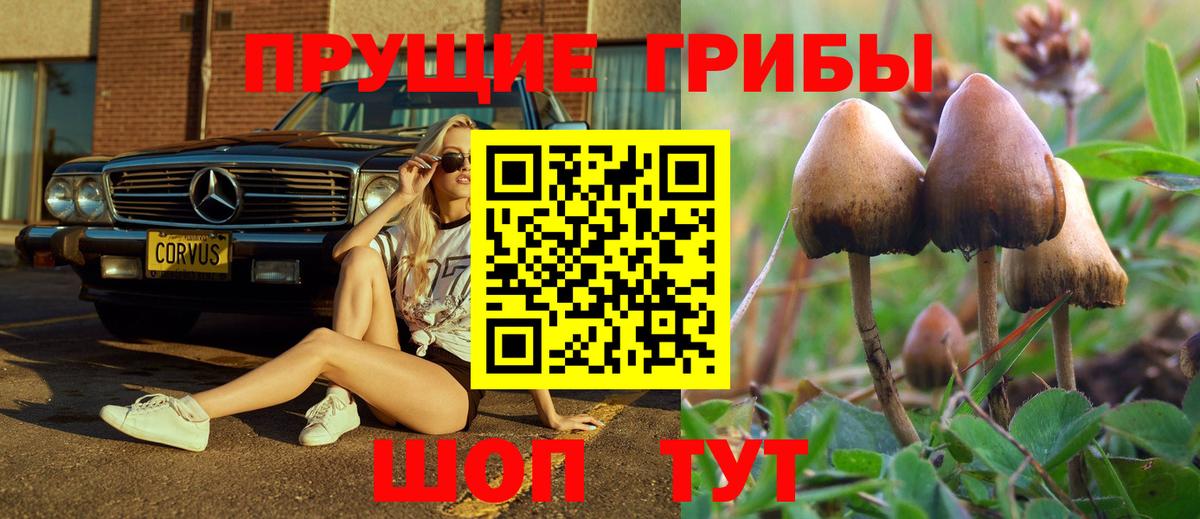 МЕФ Моздок